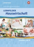 bokomslag Lernfelder Hauswirtschaft. 2. und 3. Ausbildungsjahr: Schulbuch