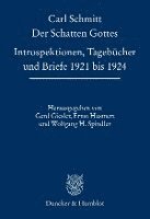 bokomslag Der Schatten Gottes: Introspektionen, Tagebucher Und Briefe 1921 Bis 1924