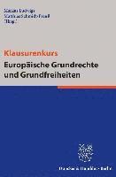 Markus Ludwigs, Matthias Schmidt-Preuss - Klausurenkurs Europaische Grundrechte Und Grundfreiheiten, Häftad