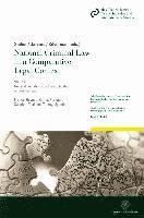 Konstanze Jarvers, Ulrich Sieber - National Criminal Law in a Comparative Legal Context: Vol. 2.2: General Limitations on the Application of Criminal Law: Principle of Legality - Extrat, Häftad