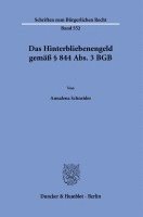 bokomslag Das Hinterbliebenengeld Gemass 844 Abs. 3 Bgb