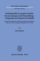 bokomslag Rechtsbegriffe im positiven Recht: Voraussetzungen und Überprüfung - Dargestellt am Beispiel der Beihilfe