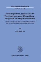 bokomslag Rechtsbegriffe Im Positiven Recht: Voraussetzungen Und Uberprufung - Dargestellt Am Beispiel Der Beihilfe: Zugleich Eine Studie Zum Gehalt Des Bestimm