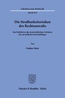 bokomslag Die Strafbarkeitsrisiken Des Rechtsanwalts: Ein Einblick in Die Strafrechtlichen Gefahren Des Anwaltlichen Berufsalltages