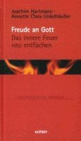 bokomslag Freude an Gott - Das innere Feuer neu entfachen