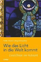 bokomslag Wie das Licht in die Welt kommt