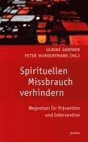 bokomslag Spirituellen Missbrauch verhindern
