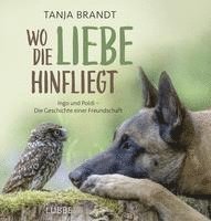 bokomslag Wo die Liebe hinfliegt