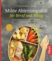 bokomslag Milde Ableitungsdiät für Beruf und Alltag