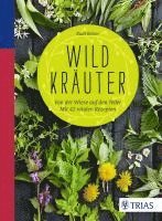 Wildkräuter 1