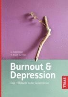 bokomslag Burnout & Depression