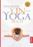 bokomslag Das große Yin-Yoga-Buch