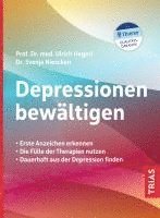 bokomslag Depressionen bewältigen