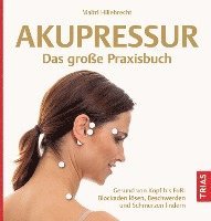 bokomslag Akupressur - Das große Praxisbuch