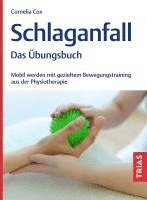 bokomslag Schlaganfall - Das Übungsbuch