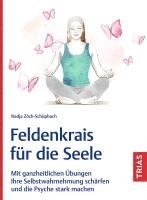 bokomslag Feldenkrais für die Seele