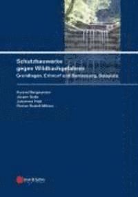 bokomslag Schutzbauwerke gegen Wildbachgefahren