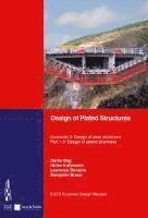 Darko Beg, Ulrike Kuhlmann, Laurence Davaine, Benjamin Braun - Design of Plated Structures, Häftad