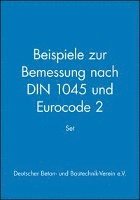 Set: Beispiele zur Bemessung nach DIN 1045 und Eurocode 2 1