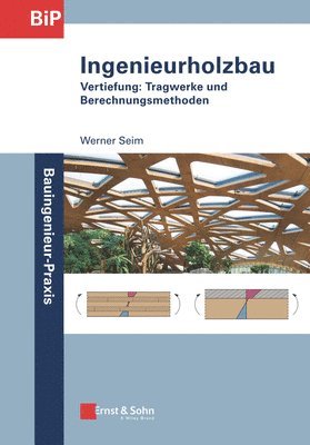 Werner Seim, Johannes Hummel - Ingenieurholzbau, Häftad