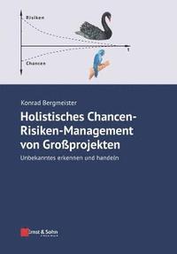 bokomslag Holistisches Chancen-Risiken-Management von Grossprojekten