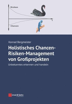 Konrad Bergmeister - Holistisches Chancen-Risiken-Management von Grossprojekten, Häftad