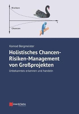 Holistisches Chancen-Risiken-Management von Grossprojekten 1