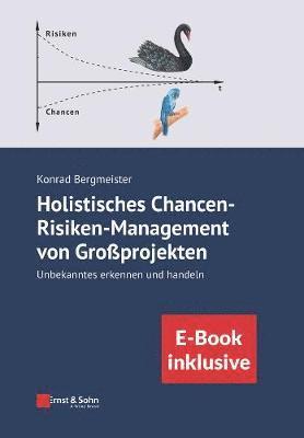 Konrad Bergmeister - Holistisches Chancen-Risiken-Management von Grossprojekten, Häftad