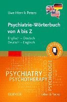 bokomslag Psychiatrie-Wörterbuch von A bis Z
