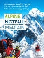 bokomslag Alpine Notfallmedizin