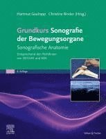 bokomslag Grundkurs Sonografie der Bewegungsorgane