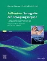 Hartmut Gaulrapp, Christina Binder-Jovanovic - Aufbaukurs Sonografie der Bewegungsorgane, Inbunden