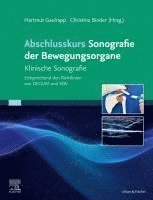 bokomslag Abschlusskurs Sonografie der Bewegungsorgane