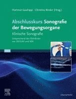 Hartmut Gaulrapp, Christina Binder-Jovanovic - Abschlusskurs Sonografie der Bewegungsorgane, Inbunden