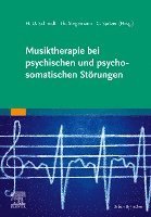 bokomslag Musiktherapie bei psychischen und psychosomatischen Störungen