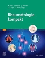bokomslag Rheumatologie kompakt