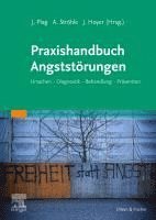 bokomslag Praxishandbuch Angststörungen