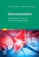 Christoph Maier, Ulrike Bingel, Esther Pogatzki-Zahn - Schmerzmedizin, Inbunden