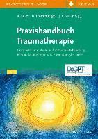 bokomslag Praxishandbuch Traumatherapie