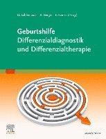 bokomslag Geburtshilfe - Differenzialdiagnostik und Differenzialtherapie