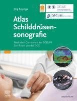 bokomslag Atlas Schilddrüsensonografie