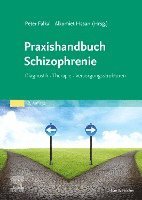 bokomslag Praxishandbuch Schizophrenie