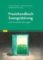 bokomslag Praxishandbuch Zwangsstörung