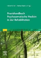 bokomslag Praxishandbuch Psychosomatische Medizin in der Rehabilitation