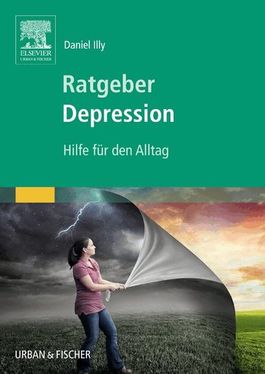 Daniel Illy - Ratgeber Depression, Häftad