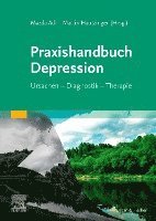 bokomslag Praxishandbuch Depression