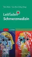 Leitfaden Schmerzmedizin 1