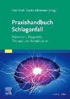 bokomslag Praxishandbuch Schlaganfall