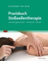 bokomslag Praxisbuch Stoßwellentherapie