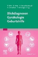bokomslag Blickdiagnosen Gynäkologie/ Geburtshilfe